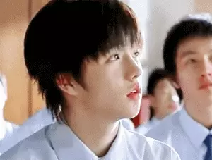 金彗星现在是女孩子还是男孩(5)