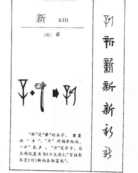 新的拼音字母怎么写(3)