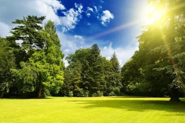 生肖虎五月运势怎么样啊(1)