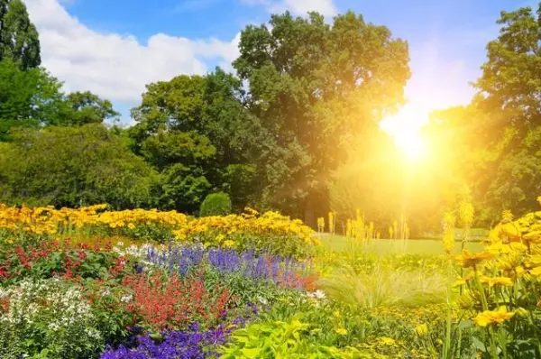 生肖虎五月运势怎么样啊(2)