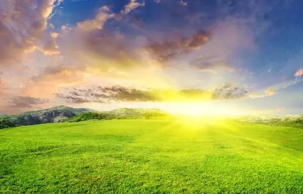 生肖虎五月运势怎么样啊(4)