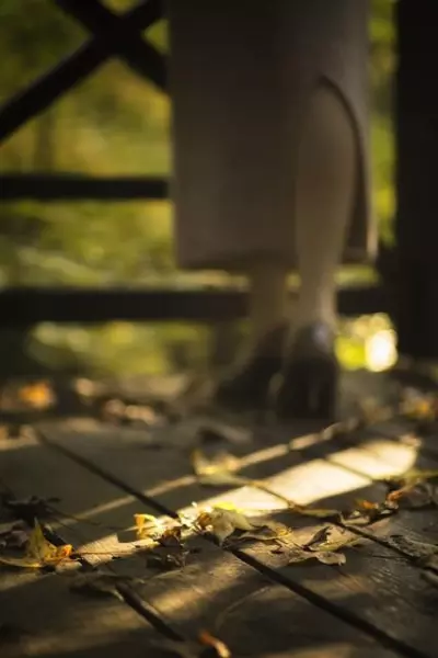 生肖虎五月运势怎么样啊(8)