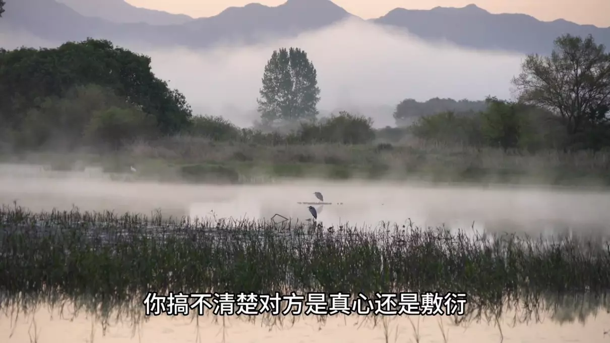 梦见地上起白雾是什么意思周公解梦女人(2)