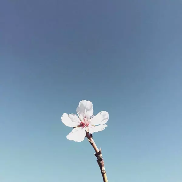 知道自己的命运走到尽头的说说句子(2)