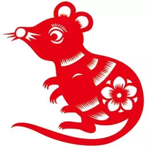 老鼠的运势2023年运势如何(5)