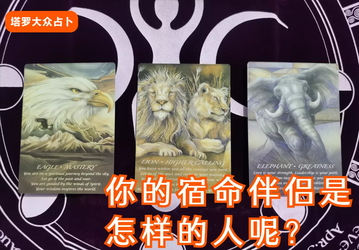 宿命伴侣最后能在一起吗(1)