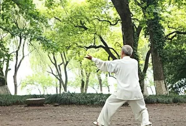 太极拳博大精深,学无止境的意思(3)