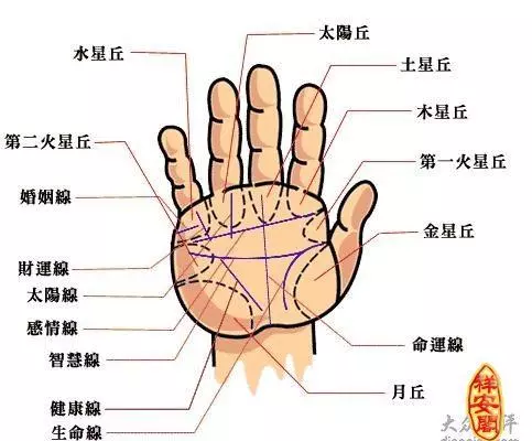 10个君纹代表什么意思(2)