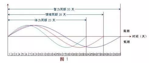 易经中年是指几岁到几岁的年龄段的人(7)