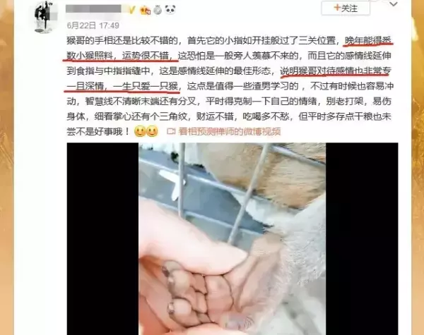 有算命软件的或会算命的帮忙算下(9)