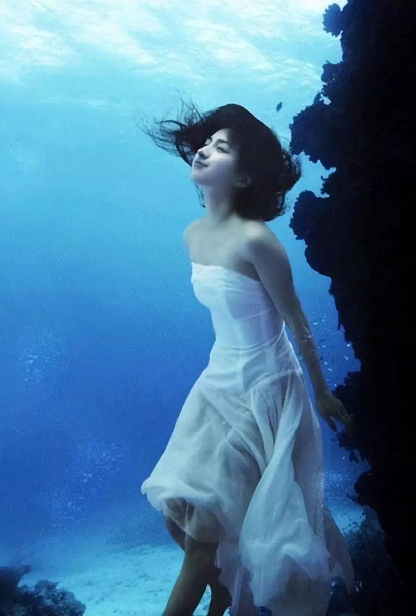 周公解梦梦见各种奇怪的爬行动物和人在一起(12)