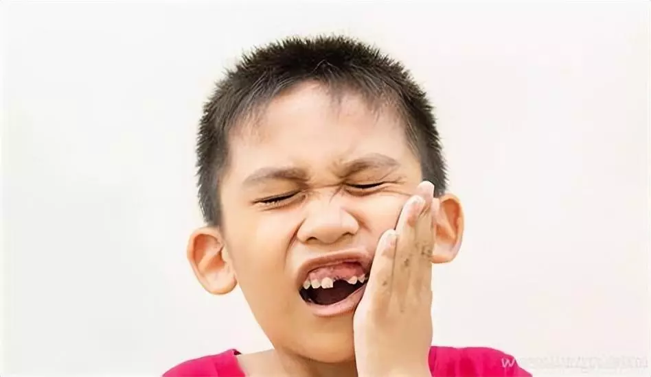 周公解梦梦见各种奇怪的爬行动物和人在一起(4)