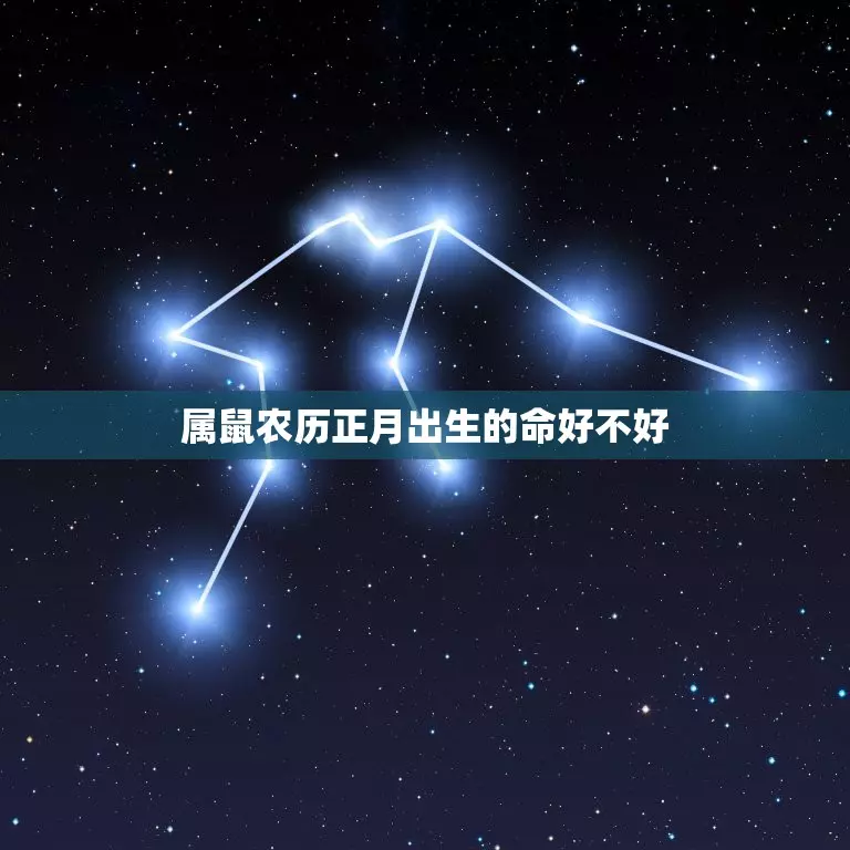 1996年正月的鼠运势好不好呀女孩(1)