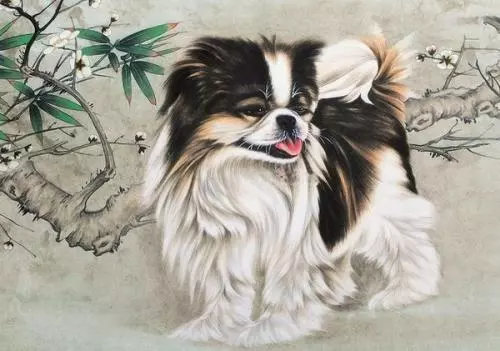 2019年属鸡的几月出生最好命运女孩(1)