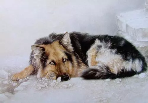 2019年属鸡的几月出生最好命运女孩(2)