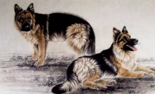 2019年属鸡的几月出生最好命运女孩(3)