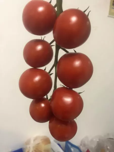 1971年2022年每月的运势如何(2)