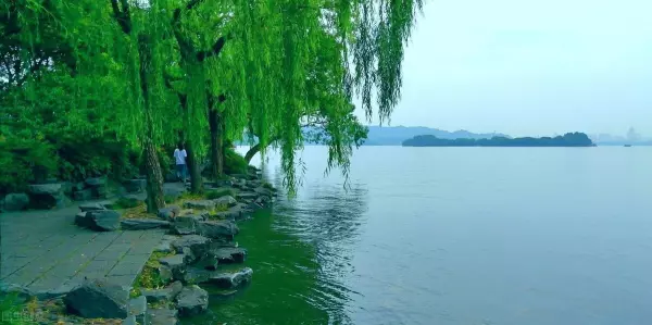 vb的程序界面的设计在哪里运行啊(1)