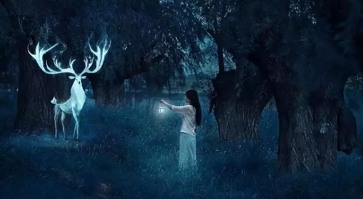 梦见和人看夜景周公解梦是啥意思啊(11)