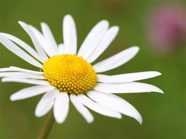 三月三日正午12点出生的男孩命运怎么样(2)