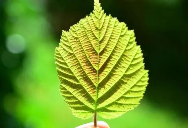 梦见夫妻甜蜜是什么意思周公解梦女人(1)