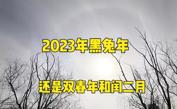 生肖属兔在2023年的运势如何看婚姻(4)