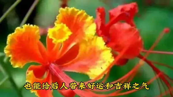 选公墓一般选几排几号有禁忌第二排15号好吗(1)