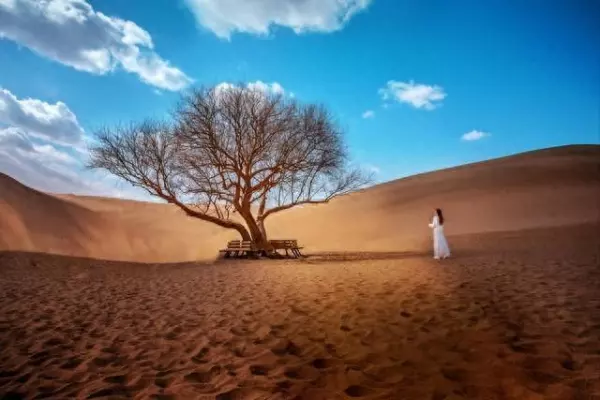 2023年属蛇的全年运势怎么样男(1)