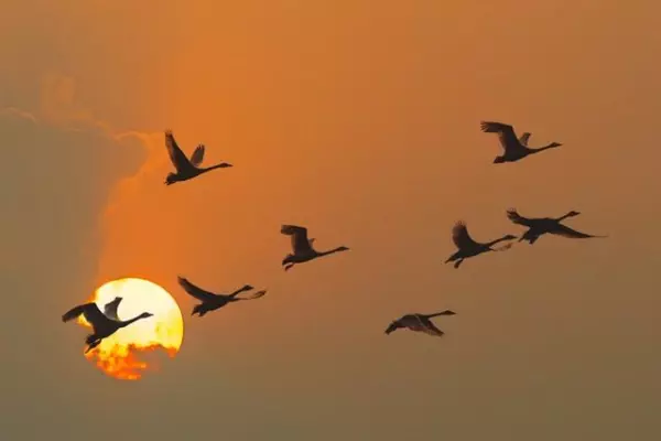 2023年属蛇的全年运势怎么样男(2)