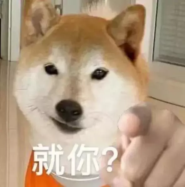 ok被排挤是我的命运我了解表情包(22)