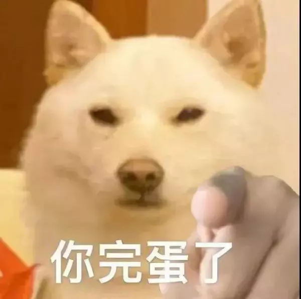 ok被排挤是我的命运我了解表情包(23)
