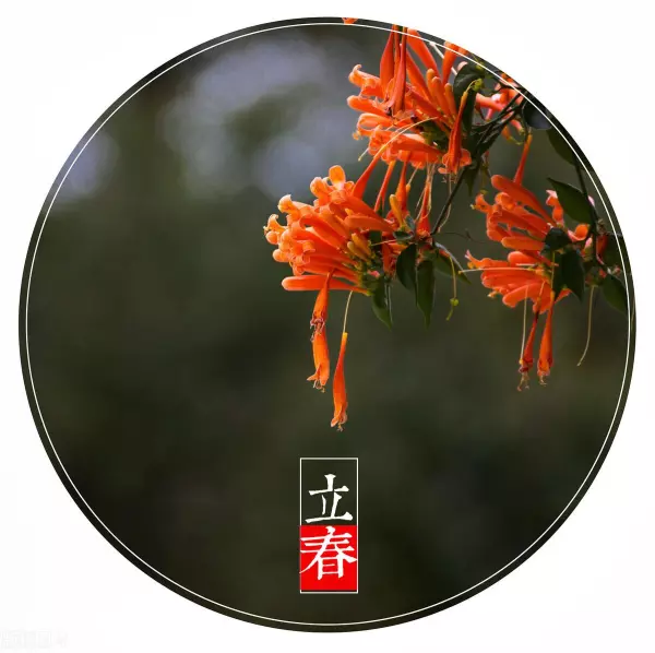 2022年春节运势低迷的生肖有哪几个生肖(1)