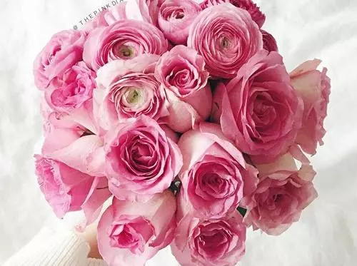 梦见羊和人游泳游的很好什么意思周公解梦(1)