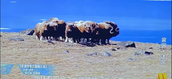 2月21日有什么特殊意义吗(4)