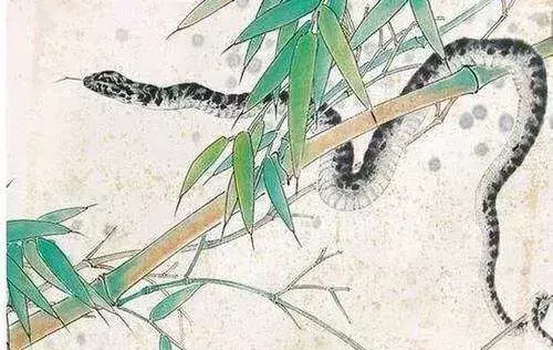 2001年属蛇佩戴什么物件可以改变运势(2)