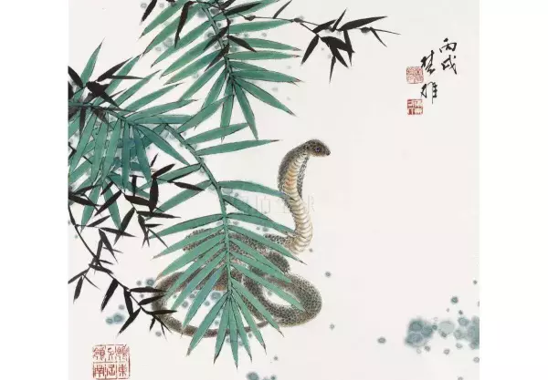 2001年属蛇佩戴什么物件可以改变运势(3)