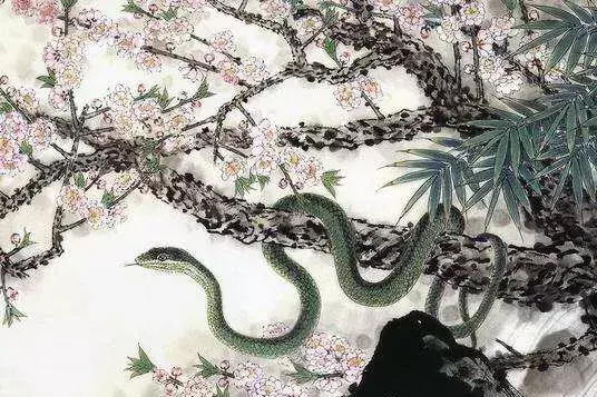 2001年属蛇佩戴什么物件可以改变运势(6)