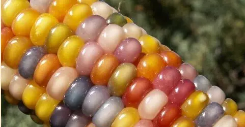 梦见自己给自己送伞什么意思周公解梦(3)