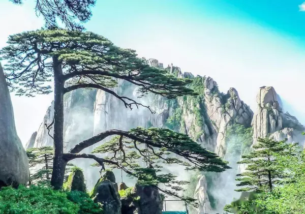 庚寅五行属什么属性(1)