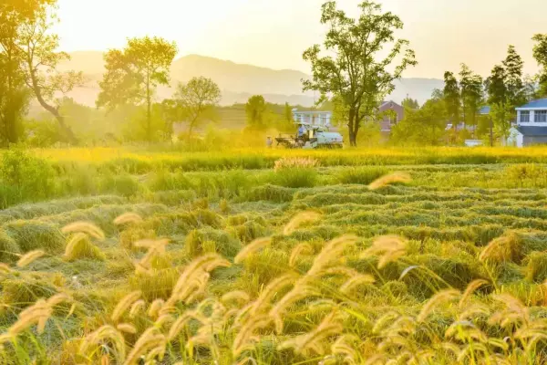 学生梦见长牙是什么意思周公解梦女生(4)