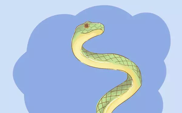 单身人梦到朋友怀孕了是什么预兆周公解梦梦见蛇(1)