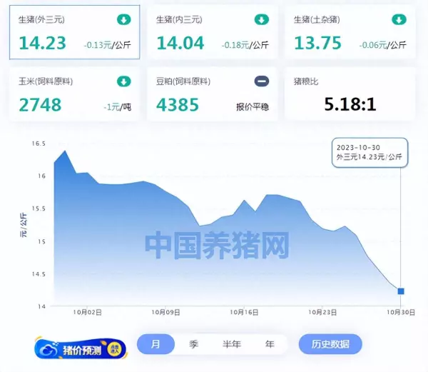 2023河北10月30日猪价格(1)