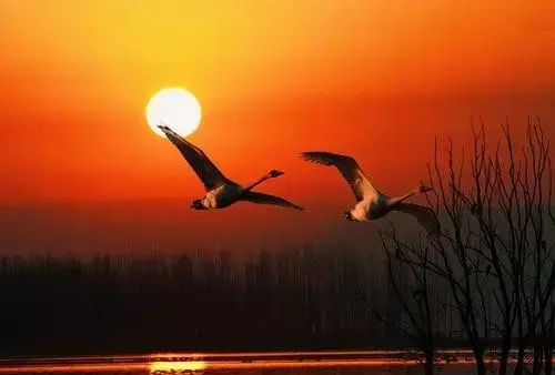 遇到你是缘分也是命运怎么回答他的话(2)