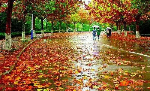 遇到你是缘分也是命运怎么回答他的话(4)