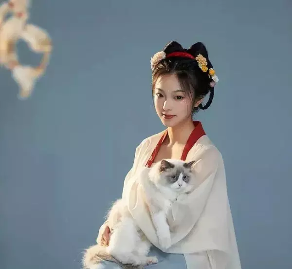 2021年属猪人的运势美国神婆网(1)