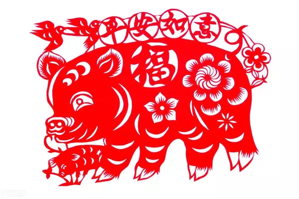 2007年属猪运势最旺是哪一年的生肖(2)