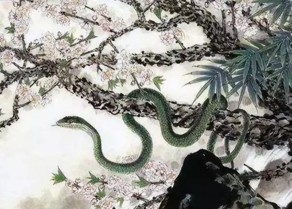 抽签算命2020年紫气东来的5大生肖(3)