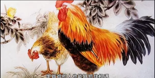 93年属鸡的2021年9月运势怎么样呢(2)