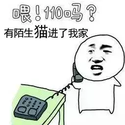 梦见抓住黑猫是什么预兆周公解梦女人(18)
