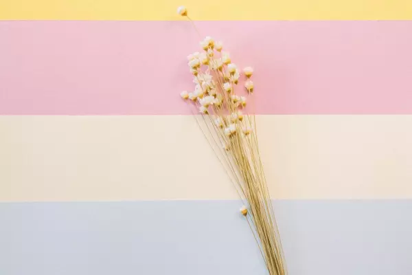 2022年9月份双鱼座运势如何呢(2)